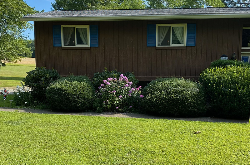 Before shrubs were trimmed