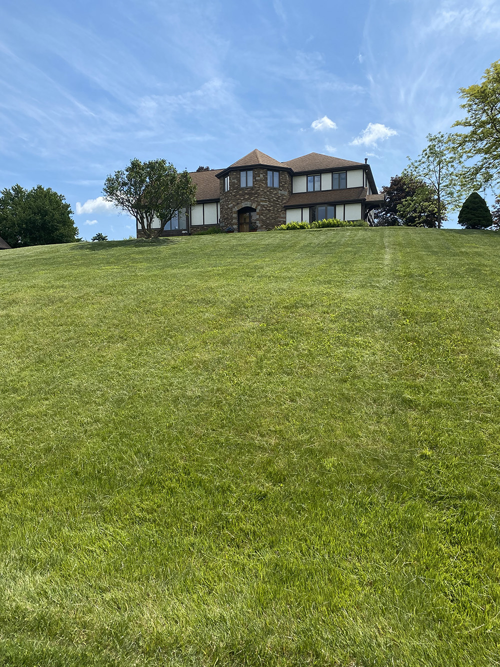 house after mowing