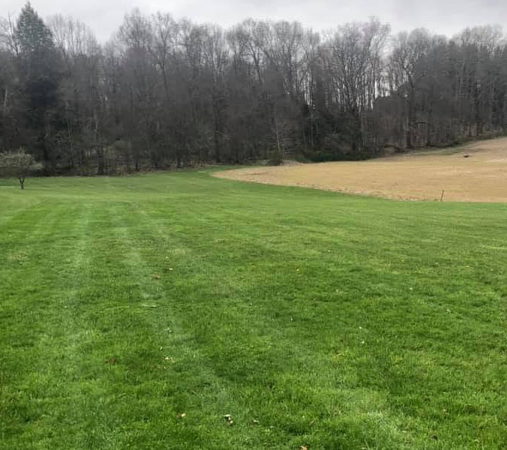 Large Lawns – No Problem Large Lawns - No Problem